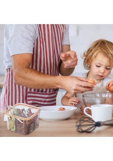 Pazly Yeşil 4 Bölmeli Baharat Çeşniler Kutusu, Fonksiyonel Saklama, Şeffaf Kapak, Kaşık Kabı İle Yeşil