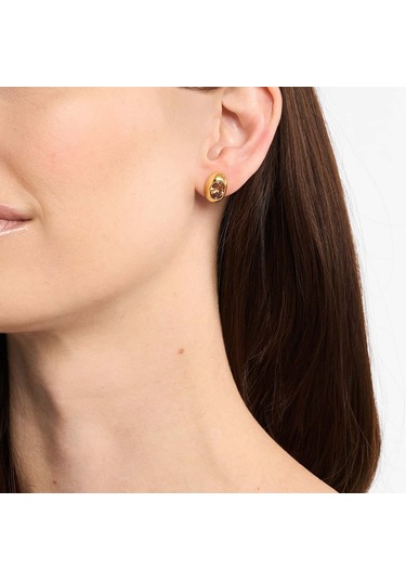 Michael Kors Mkj8555-710 Kadın Küpe Altın