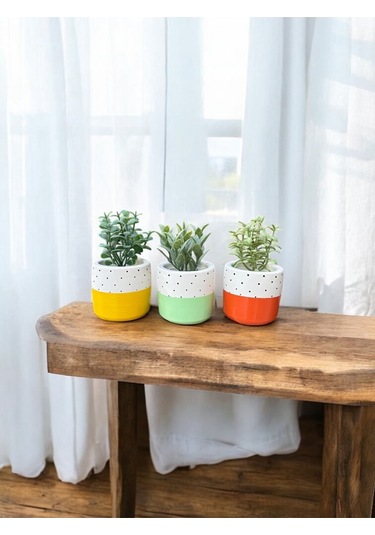 Renkli Saksı Seti Sukulent Kaktüs Dekoratif Eşya- Ev Dekorasyon - Saksı Seti 3