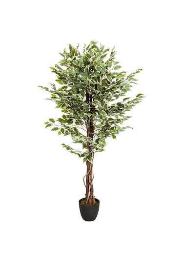 Yapay Ağaç Benjamin Yeşilbeyaz 2 Gövdeli Çalılı 165*80cm Siyah Plastik Saksılı