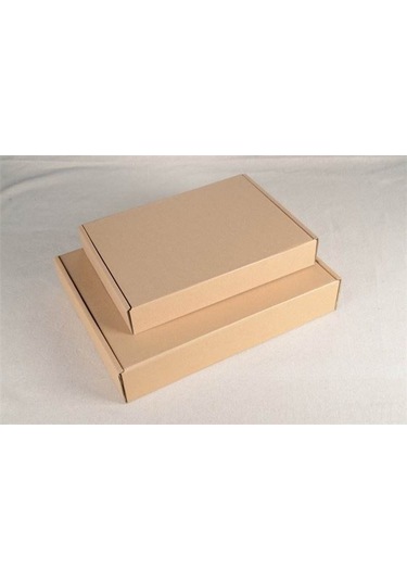 Dianziye Beyaz Renkli Böcek Tutucu Kova - Arı Panoları Ve Evler İçin Etkili Kontrol Aracı 1 Adet Büyük Kutuda