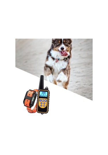 Suntek Köpek Eğitimi Şok Tasması Uzaktan 1-adet-turuncu