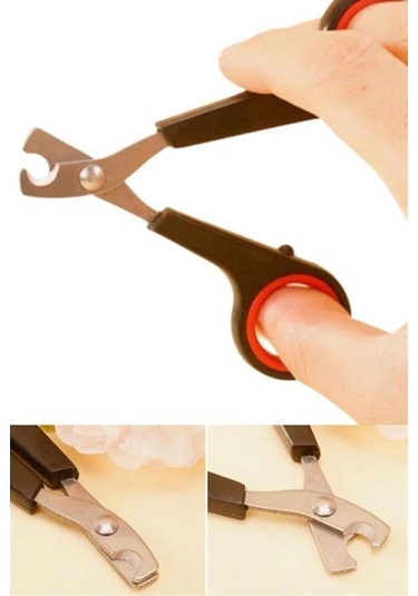 Buffer Evcil Hayvan Tırnak Makası Ve Törpü Seti Manikür Pedikür Pati Bakım Aleti Kaymaz Sap Çok Renkli