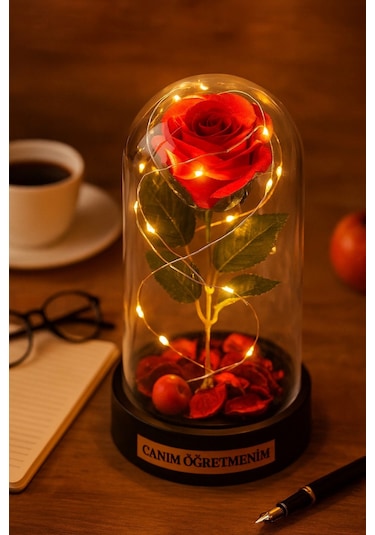 Sevgiliye Eşe Öğretmenler Gününe Anlam Katan Özel Fanusta Led Işıklı Canım Öğretmenim Hediye Biblosu Çok Renkli