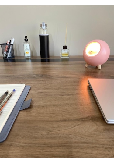 Geox Little Pet House Masa Lambası, Gece Lambası, Abajur