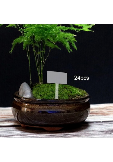 Suntek 24x Akrilik Bitki Etiketi Adı , Yeniden Kullanılabilir