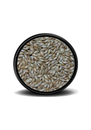 Vivid Sade Kanarya Yemi (Aspur) 1kg