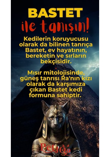 Petjoo 1.Bastet Kırmızı-Sarı Qr'lı Kedi Künyesi
