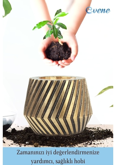 Saksı Çiçek Kaktüs Saksısı Lüx 13 Cm Mekanik Dişli Desen Saksı Çiçeklik - Altın Eskitme