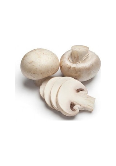 Kültür Mantarı Deneme Kiti Deneme Kompostu 2 Adet