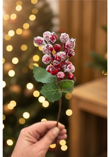 Yılbaşı Ağaç Süsleri Koleksiyonu- Kokina Ağaç Süsü