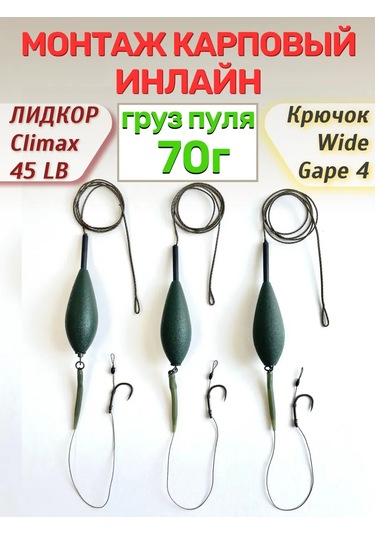 Carpspot Climax Lidcore İçin 70 Gr Carp Montajı Inline Bilye Kurşun 472719682