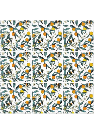 Can Seramik – 10x10 Cm. Cç-106 Kütahya Çini Karo 5'li 1 Paket