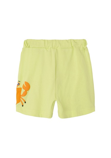 Name It Nmmzakko Nreg Shorts Box Yeşil Erkek Çocuk Şort Yeşil