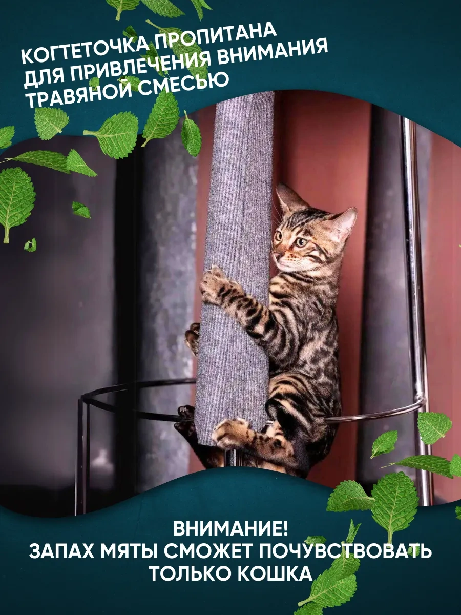 Anticarapki Evcil Hayvan Maması Ahşap Tabanlı Yastıklı Kedi Tırmalama Direği 8187839