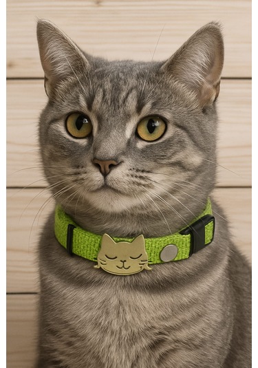 Mıt Kedi Boyun Tasması Kedi Figürlü Yeşil