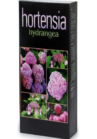 Hortensia Ortanca Besini 1 KG