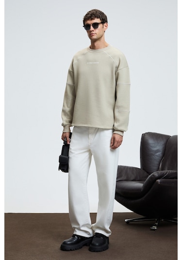 HAL Erkek Yuvarlak Yaka Önünde Ve Kollarında Süs Dikiş Detaylı Baskılı Regular Fit Taş Rengi Sweatsh