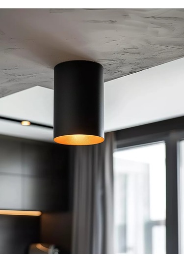 Profitec Lighting Spot 170542841 Siyah