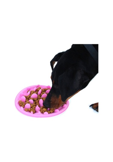 Sones Pet Kedi Ve Köpek Orman Silikonlu Boğulma Önleyici Mama Kasesi