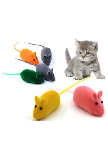 Tineke 4 Adet Kedi Eğitim Oyun Faresi Sesli