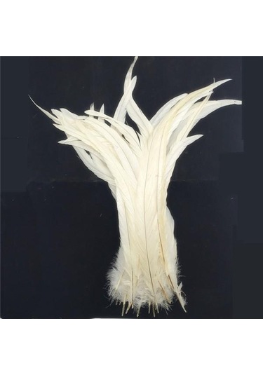 Suntek Toptan Kaliteli Güzel 10 Adet Boyama Horoz Kuyruğu Tüyleri