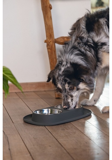 Beeztees Köpek İkili Mama Ve Su Kabı, Paslanmaz Çelik, 40x24cm, 2x500ml