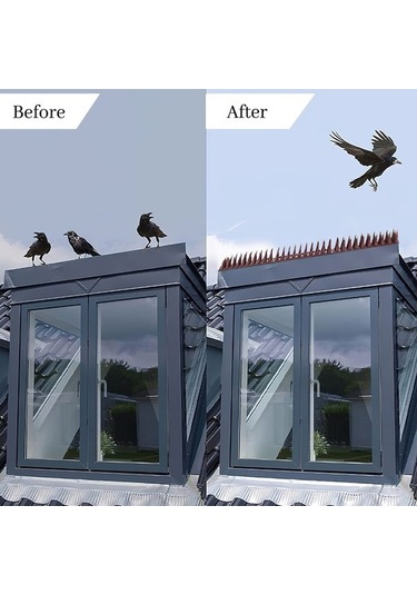 Besthome1 Kuş Sivri Plastik Güvercin Kovucu Set, 10 Adet, Unik Renk