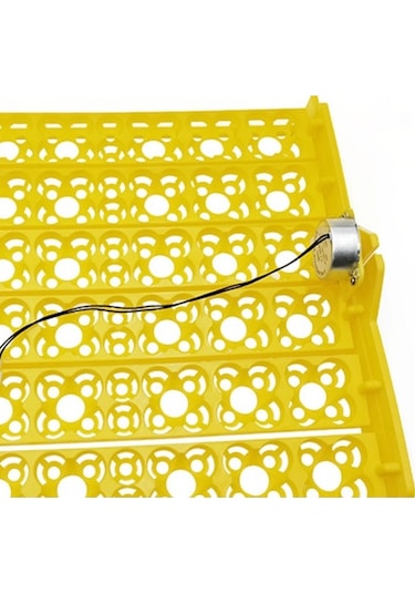 Pazly Suntek Motor Kümes Kuluçka Hayvanları Cihazı Çiftliği 220v Ly