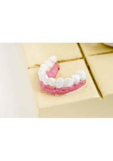 Forchino Koleksiyonu / Erkek Diş Hekimi Küçük Boy