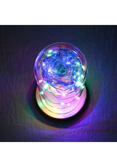 Geeroyoo Renkli Cam Kapaklı Altın Folyo Gül Dekoratif Led Gece Lambası - Plastik Çiçek + Ahşap Tabanlı, 20 Led Işıklı, Kaliteli Ve Dayanıklı Diğer