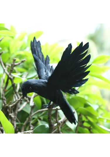 Suntek Açık Bahçe Ev Dekorasyonu Için Yapay Gerçekçi