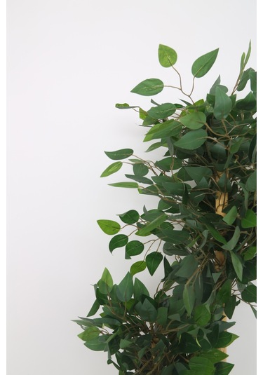 Yapay Ficus Benjamin Ağacı Dolgun Yeşil Yapraklı, Ev Ve Ofis Dekorasyonuna Uygun, Bambu Gövdeli Yeşil