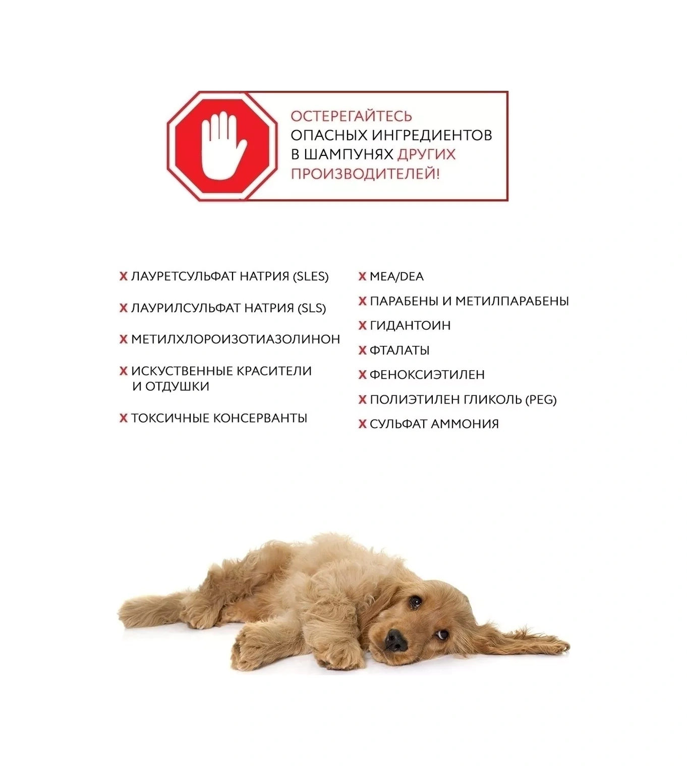 Ecozavr Köpekler İçin Aloe Şampuan 0.5l. 24680115