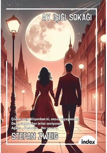 Ay Işığı Sokağı Yeni Çeviri / Stefan Zweig