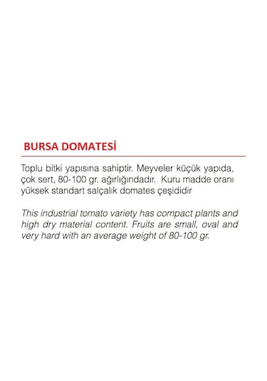 Ata Tohumu Yerli Doğal Bursa Domatesi 100 Adet Tohum