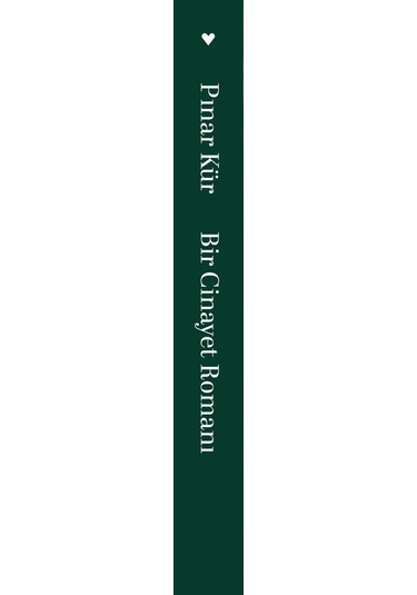 Bir Cinayet Romanı - Pınar Kür - Can Yayınları