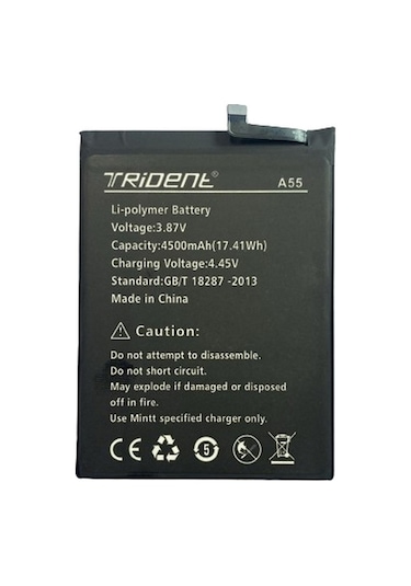 Trident A55 Pil Batarya 4500 Mah + Tamir Seti