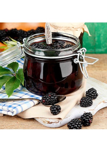 Ev Yapımı Böğürtlen Reçeli 720 G