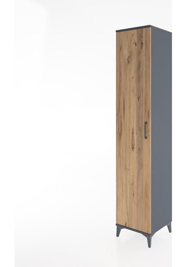 Hyperion Dolap 3 Raflı Tek Kapaklı 44x44x221 Antrasit-çam Antrasit