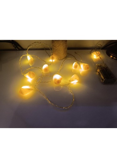 Doğal Deniz Kabuklu Pilli Dekoratif Led Işık Yılbaşı Süsü 2 Metre