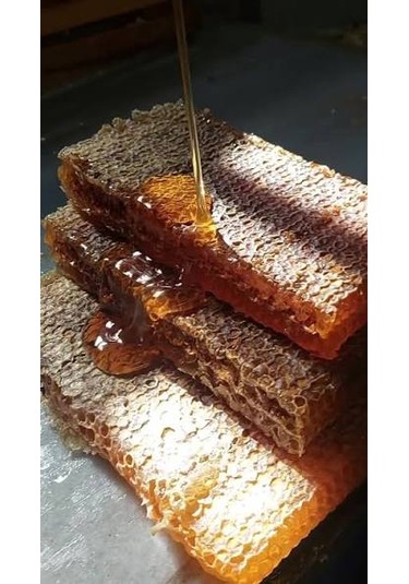 Bitlis Hizan Doğal Yayla Petek Balı Polifloralı Çok Çiçekli Bal Ta14 1050 G