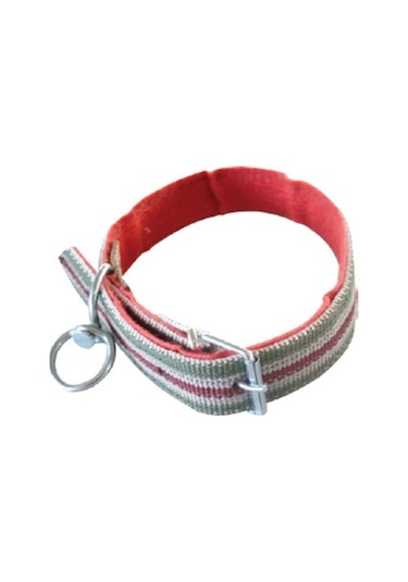 Köpek Tasması Battal Bez