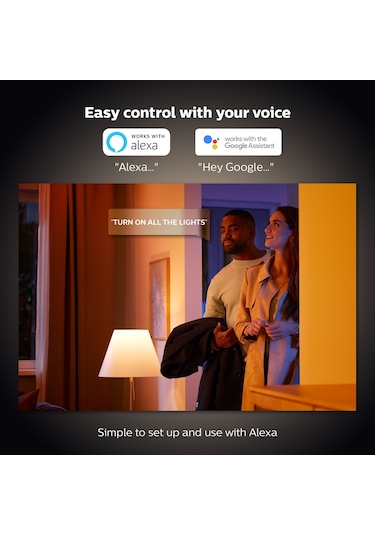 Philips HueWCA Flourish Masa Lambası