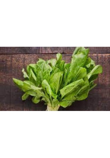 100 Adet Kuzu Kulağı Koç Kulağı Ekşi Otu Tohumu