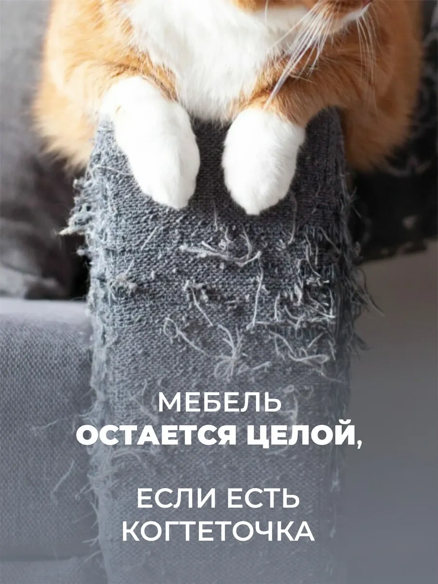 Udzin Kedi İçin Karton Yataklı Tırmalama Direği 155548266