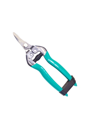 Veta 24209 Meyve Toplama Narenciye Makası Kısa Eğik  Ağız