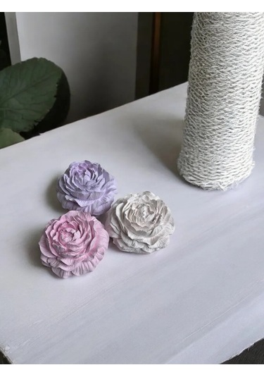 Wick24 İç Mekan İçin Uçucu Yağlar İçin Şap Taş Aroması Piyon Aromadüfüsör 185463464