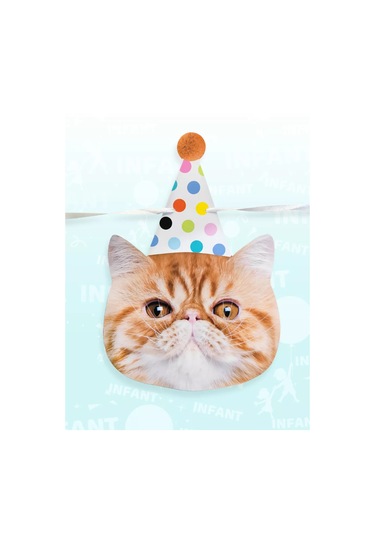 Infant Doğum Günü İçinşapkalı Kedili Bayraklı Işık Zinciri 177976919 Diğer