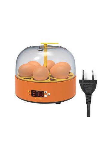 Geeksen Yumurta Çocuk Deneysel Yumurta Kuluçka Makinesi Tavuk Kuluçka Makinesi Tavuk Kuluçka Makin Kuluçka Makinesi